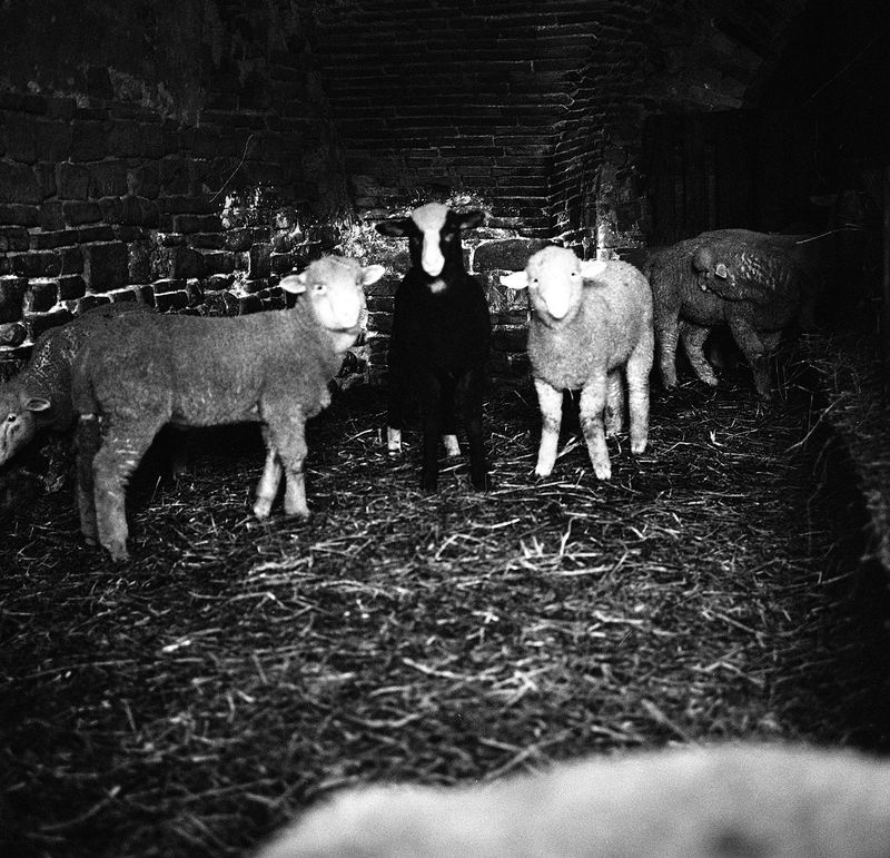 © Sabrina Caramanico - Image from the The Secrets of the Mother Mountain photography project