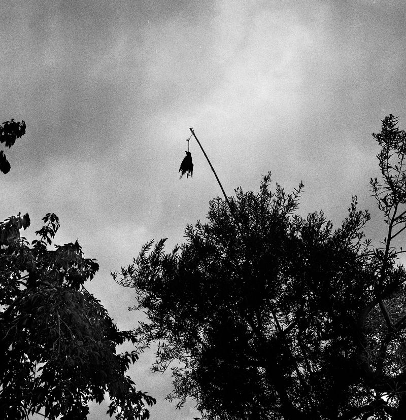 © Sabrina Caramanico - Image from the The Secrets of the Mother Mountain photography project