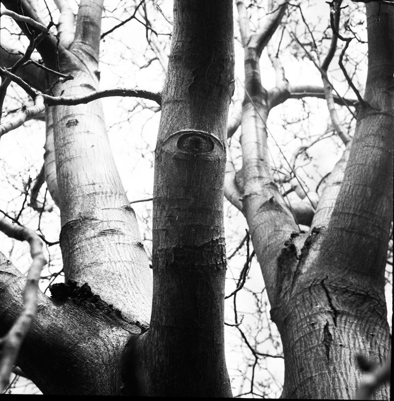 © Sabrina Caramanico - Image from the The Secrets of the Mother Mountain photography project