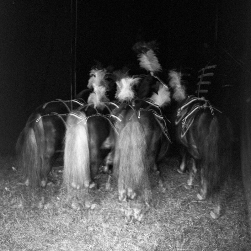 © Sabrina Caramanico - Image from the Circus photography project