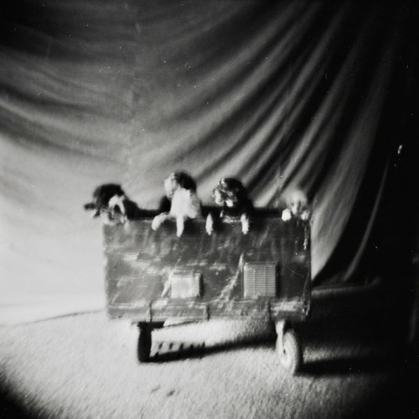 © Sabrina Caramanico - Image from the Circus photography project