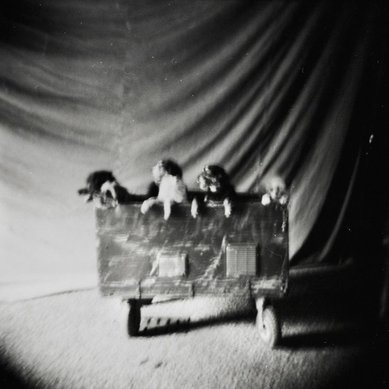 © Sabrina Caramanico - Image from the Circus photography project