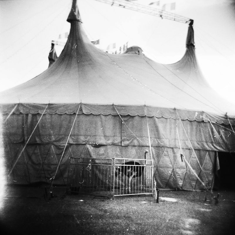 © Sabrina Caramanico - Image from the Circus photography project
