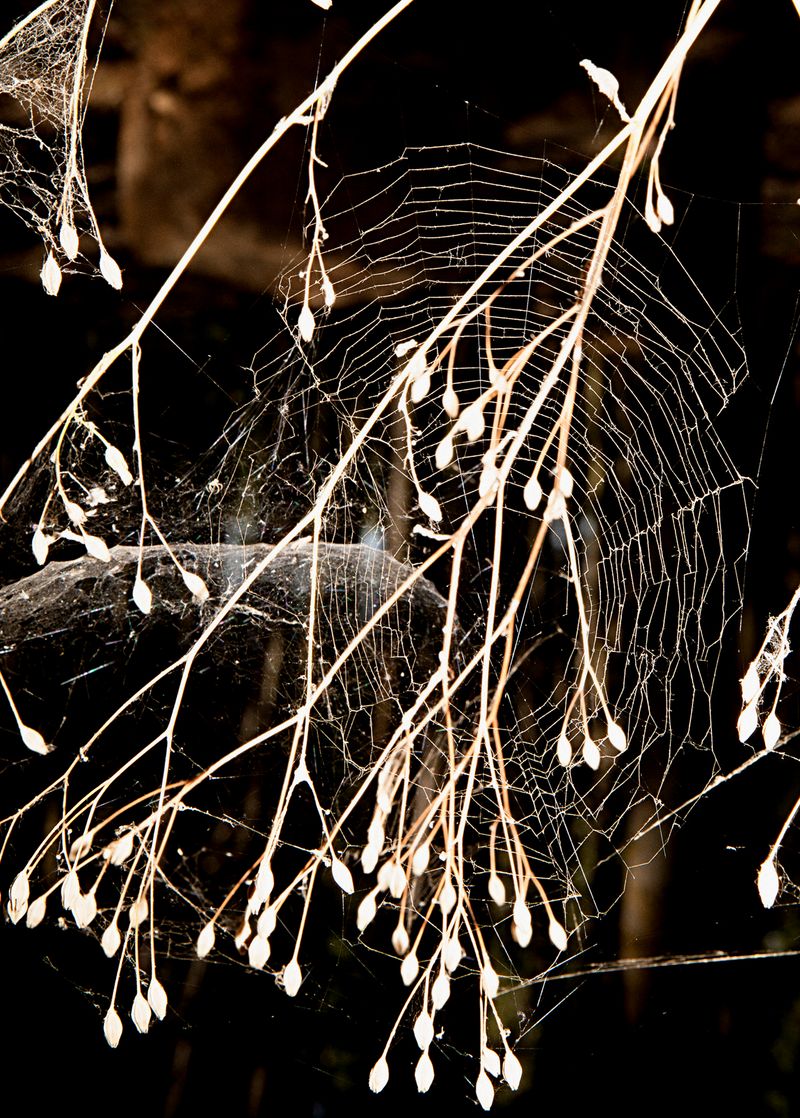 © Antonio Guerra - Image from the La Luz Que Nos Ciega photography project