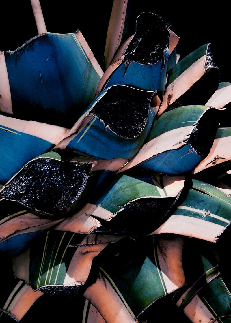 © Antonio Guerra - Image from the La Luz Que Nos Ciega photography project