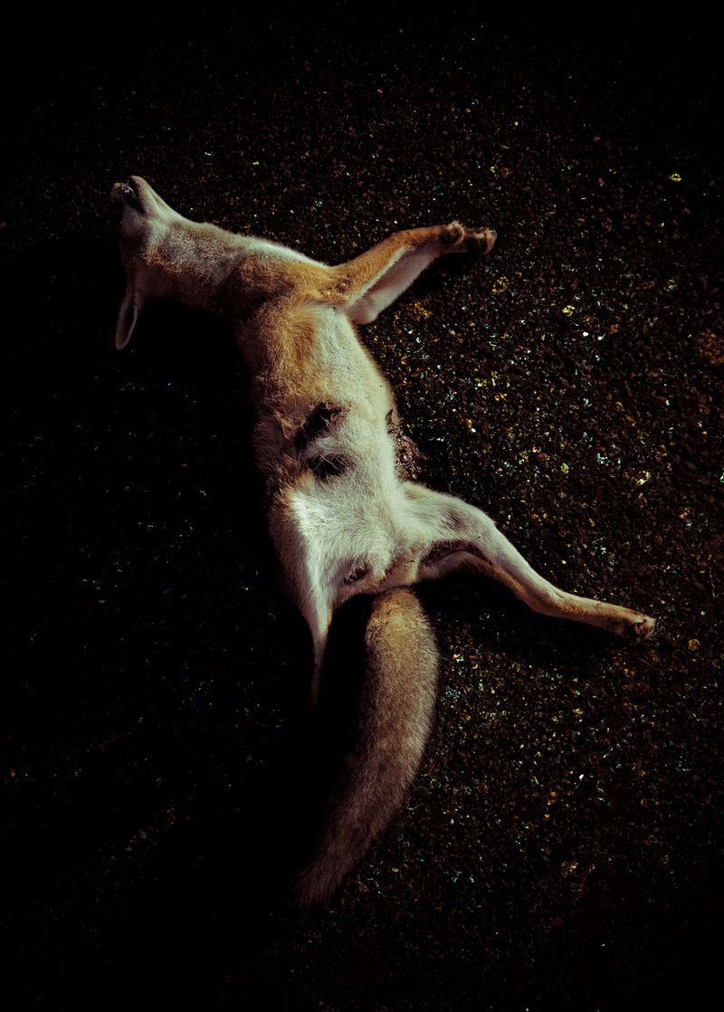 © Antonio Guerra - Image from the La Luz Que Nos Ciega photography project