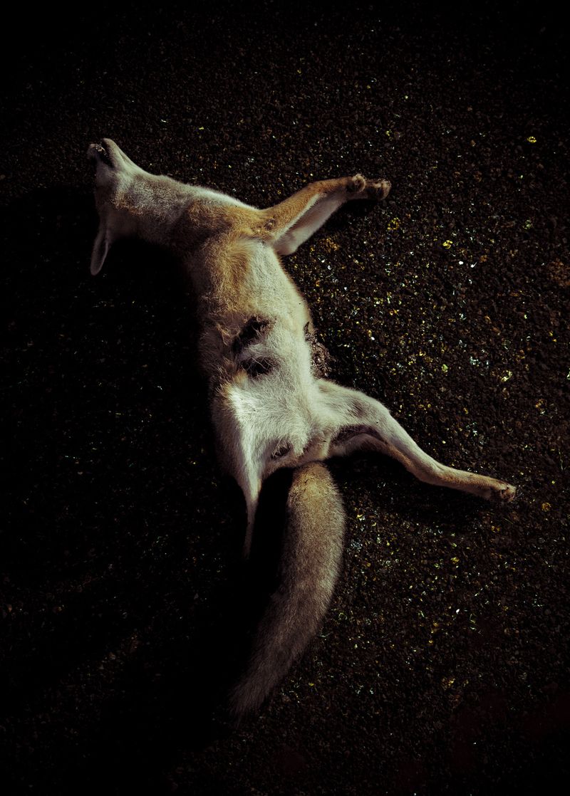 © Antonio Guerra - Image from the La Luz Que Nos Ciega photography project