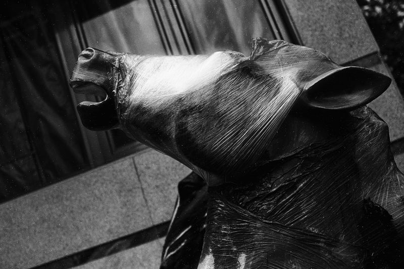 © Ge Zeng - 2013, China