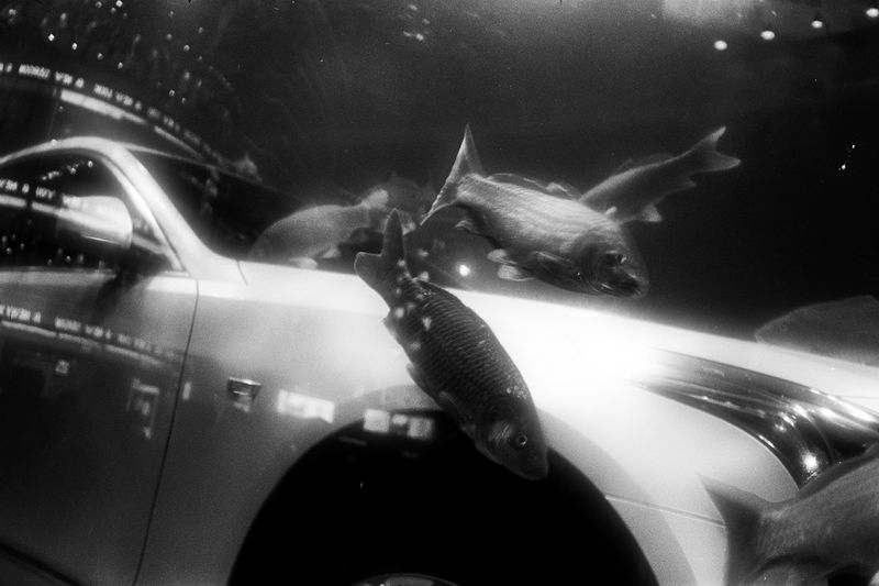 © Ge Zeng - 2016, China