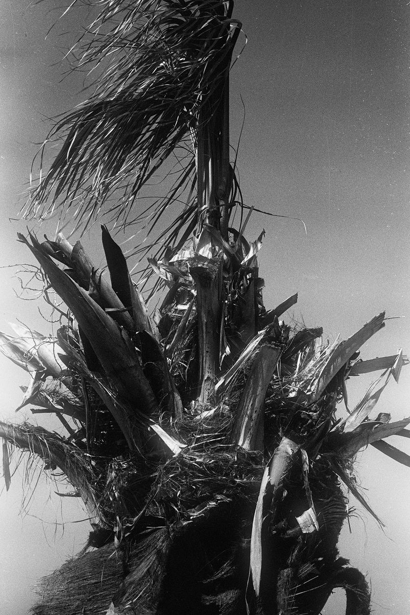 © Ge Zeng - 2016, China