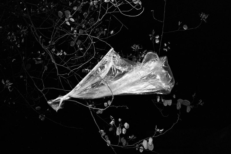 © Ge Zeng - 2013, China