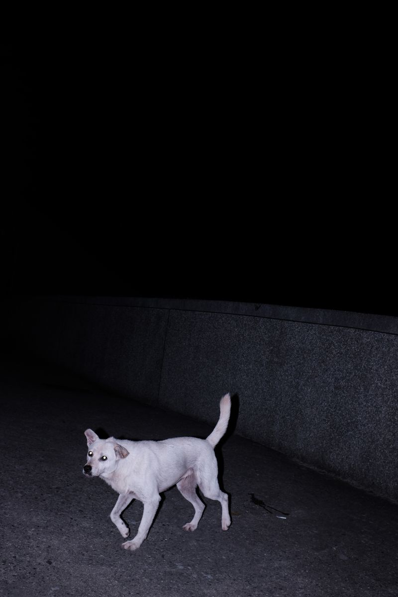 © Ge Zeng - China,2018