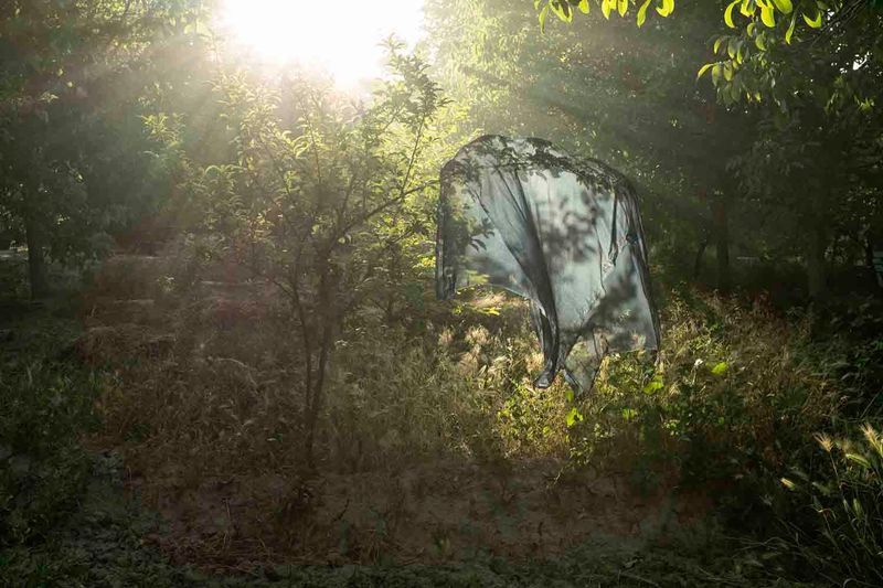 © sima choubdarzadeh - Image from the My name is fear photography project