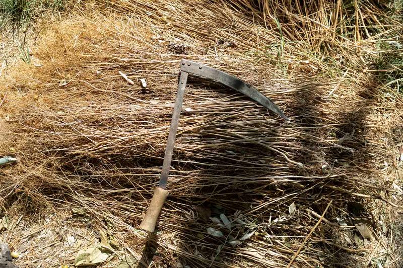 © sima choubdarzadeh - Image from the My name is fear photography project