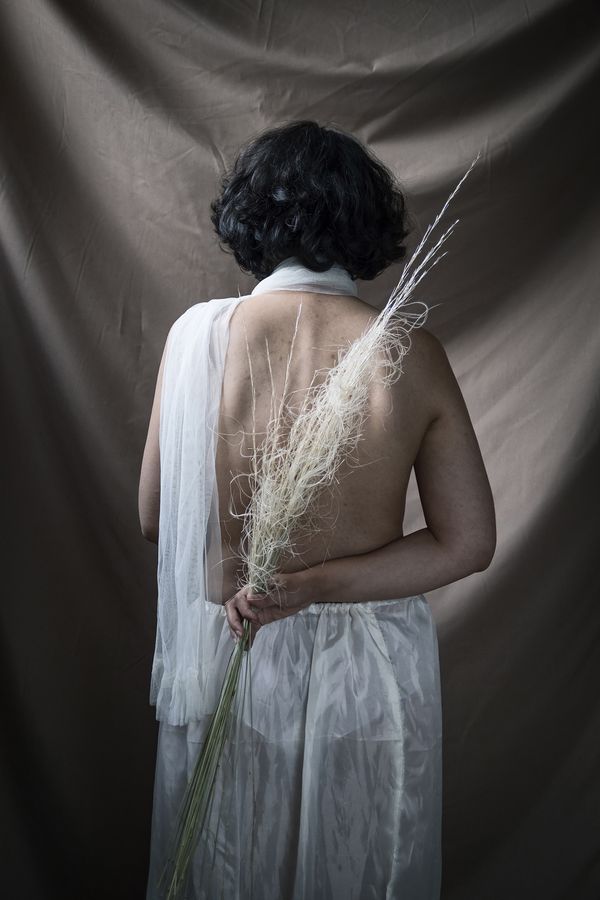 © sima choubdarzadeh - Image from the The lotus seeds sprout photography project