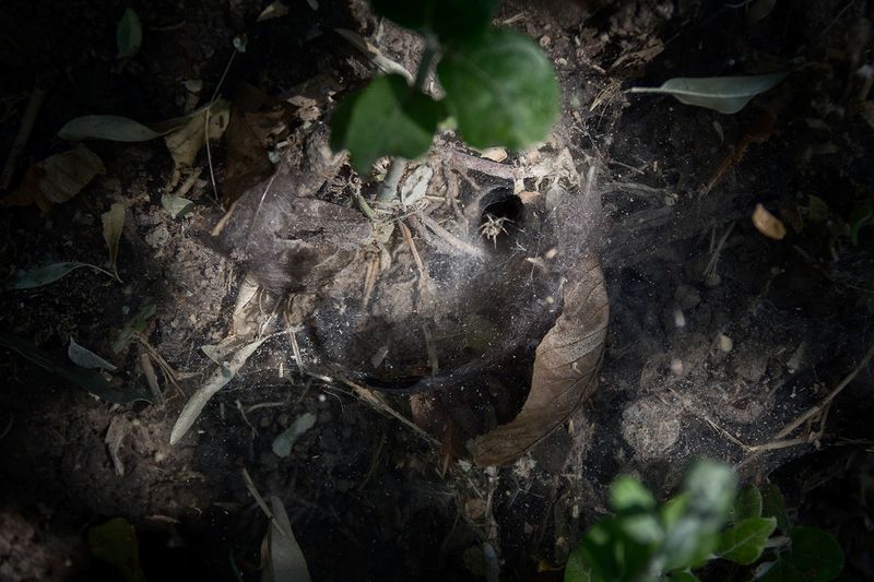 © sima choubdarzadeh - The certain place is a hole: death .