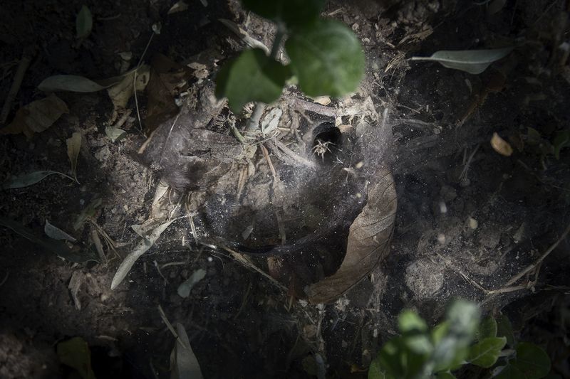 © sima choubdarzadeh - The certain place is a hole: death .