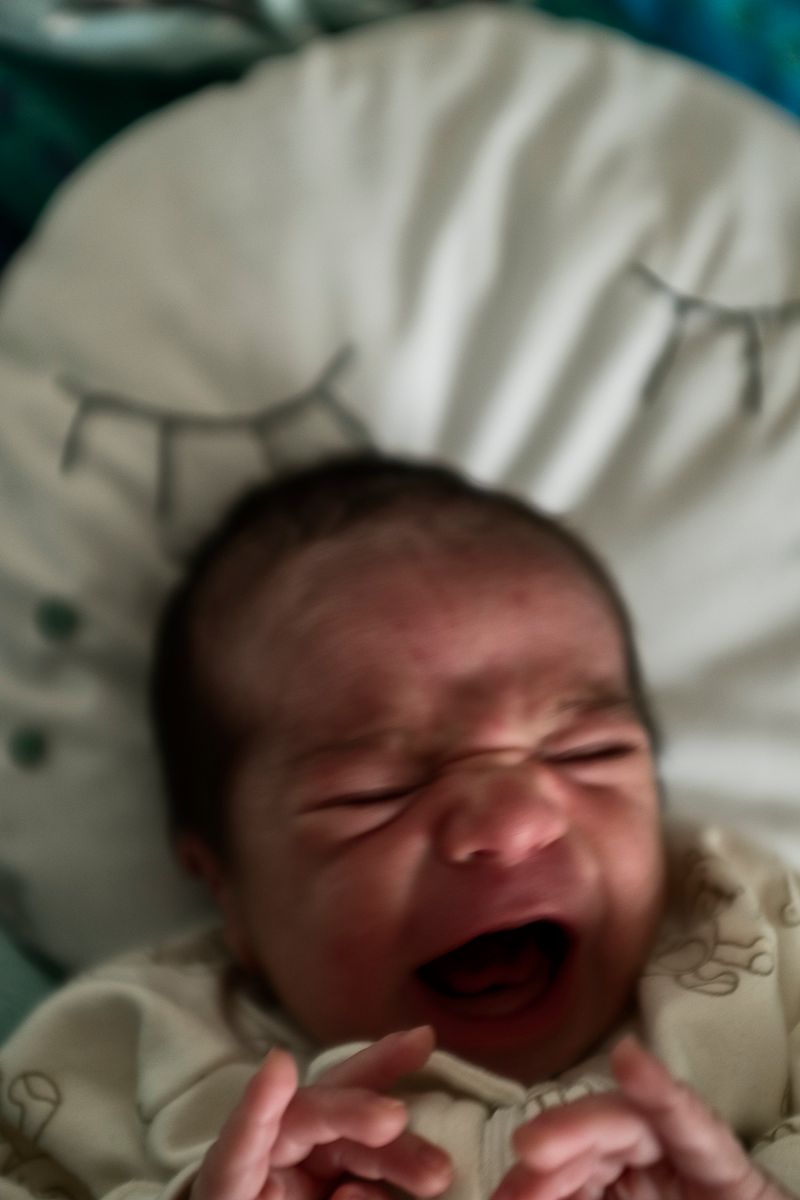 © sima choubdarzadeh - Born again.