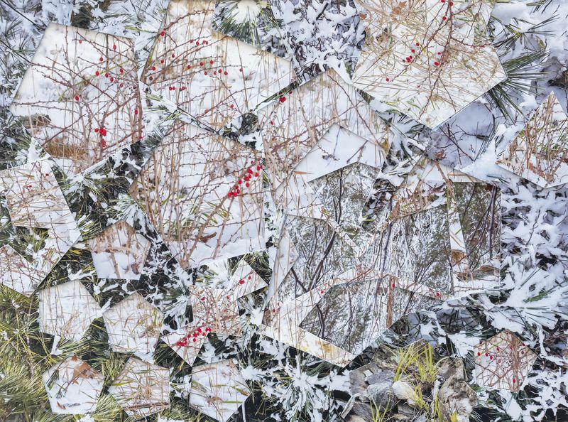 © Gohar Dashti - from the series “Transformed Landscape” - 78 x 105 cm -