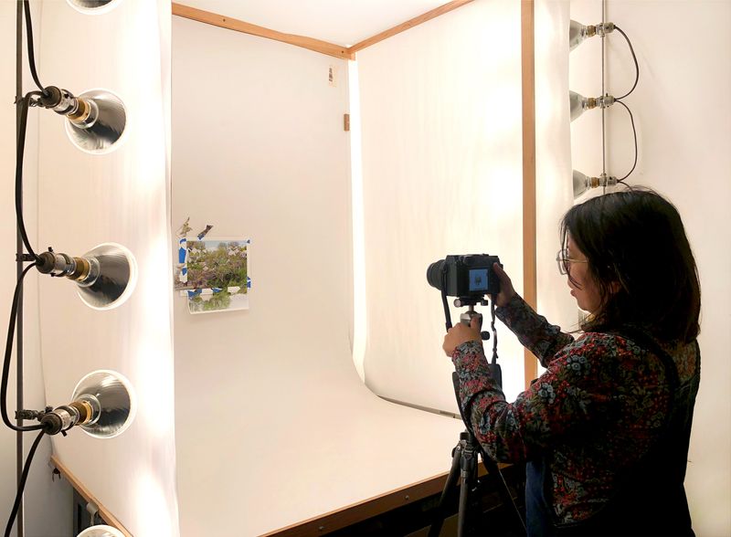 © Gohar Dashti - behind the science of the project