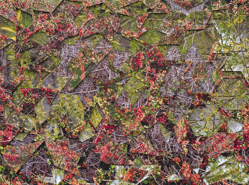 © Gohar Dashti - from the series “Transformed Landscape” - 78 x 105 cm -