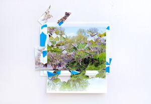 Transformed Landscape
