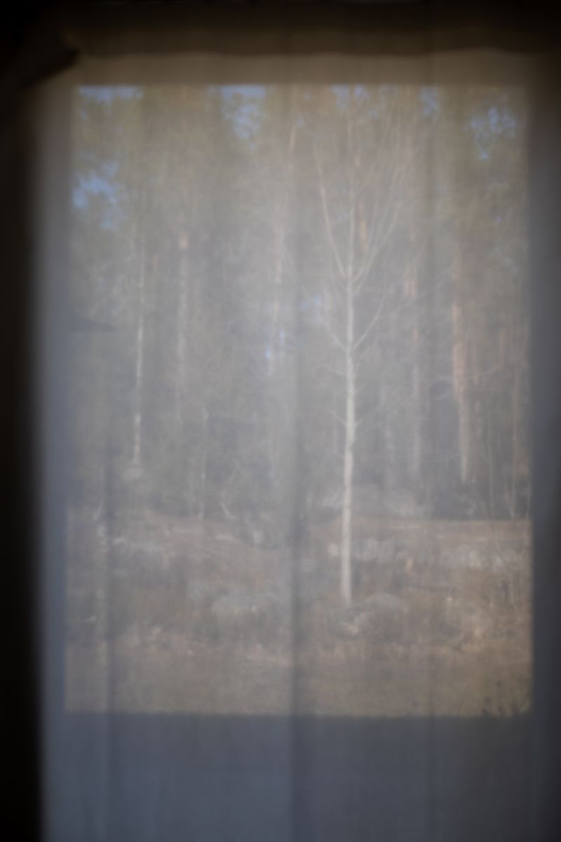 © Bego Amare - Seasonal