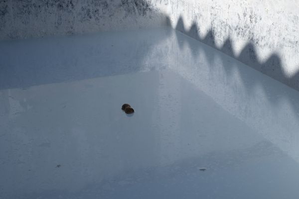 © Bego Amare - Image from the The blue call photography project