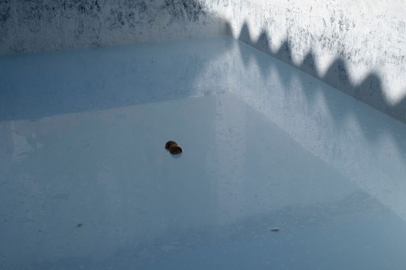 © Bego Amare - Image from the The blue call photography project