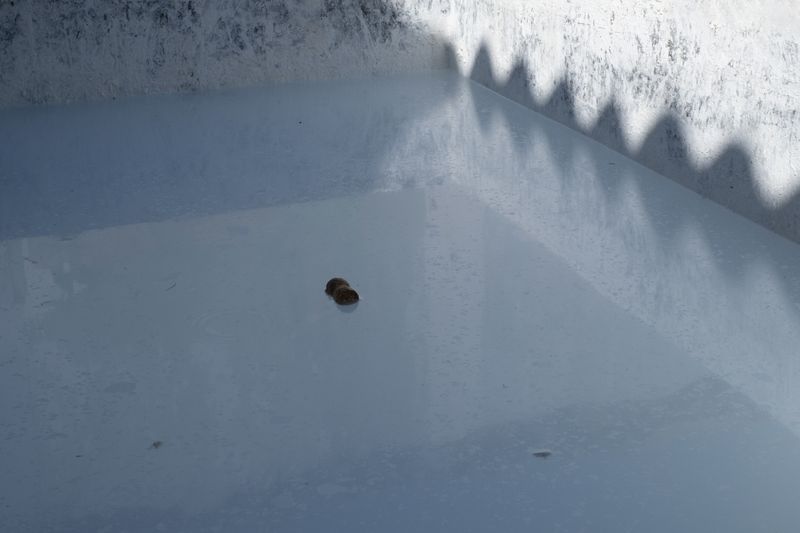 © Bego Amare - Image from the The blue call photography project