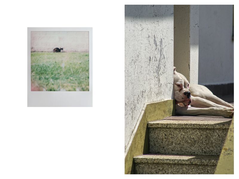 © Bego Amare - Image from the MERA photography project