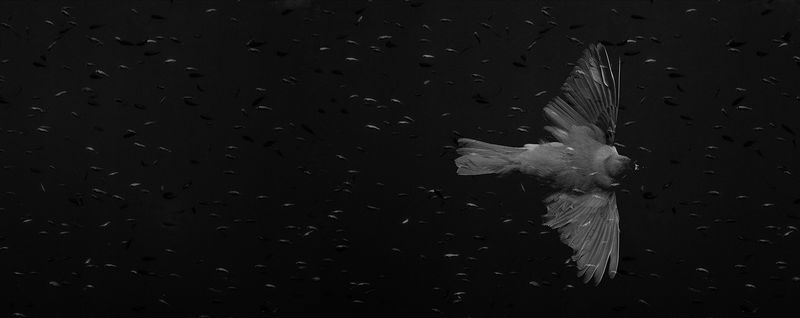 © Noa Sheizaf - Image from the Sometimes I want to be a Mermaid photography project