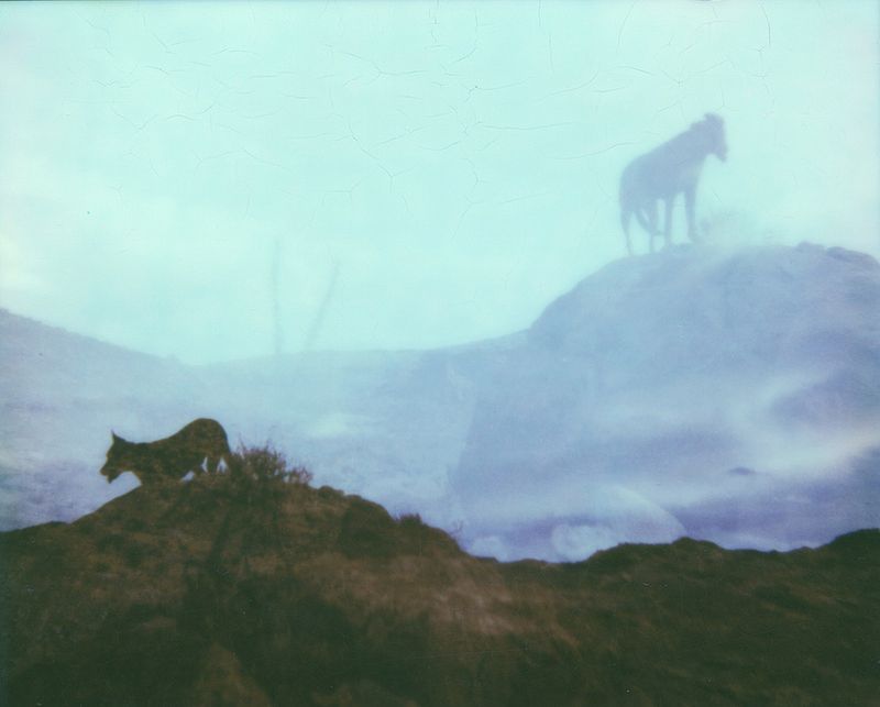 © Brigette Bloom - Image from the the dream photography project