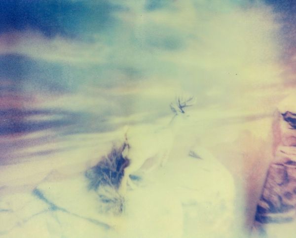 © Brigette Bloom - Image from the the dream photography project