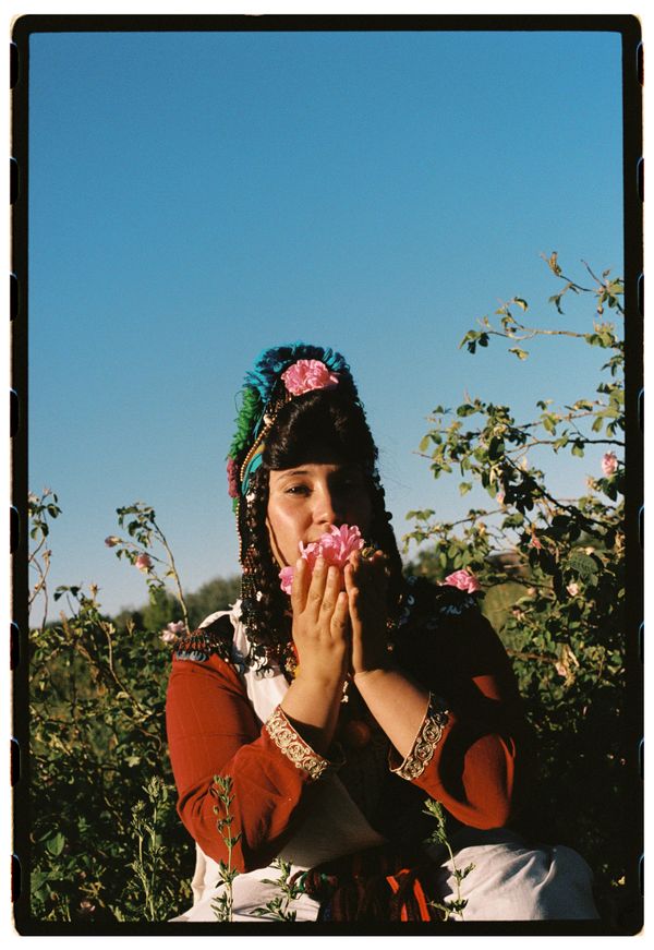© Annissa Durar - Image from the The Rose Harvest photography project