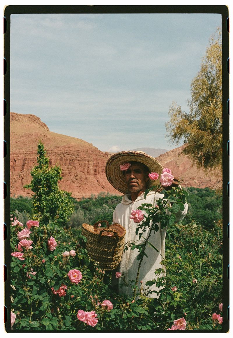 © Annissa Durar - Image from the The Rose Harvest photography project