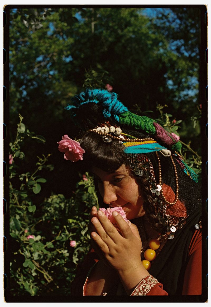 © Annissa Durar - Image from the The Rose Harvest photography project