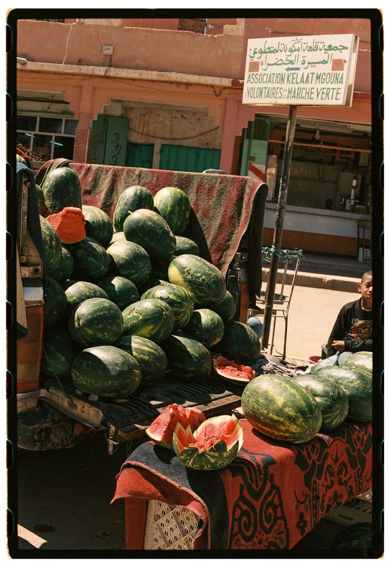 © Annissa Durar - Image from the The Rose Harvest photography project