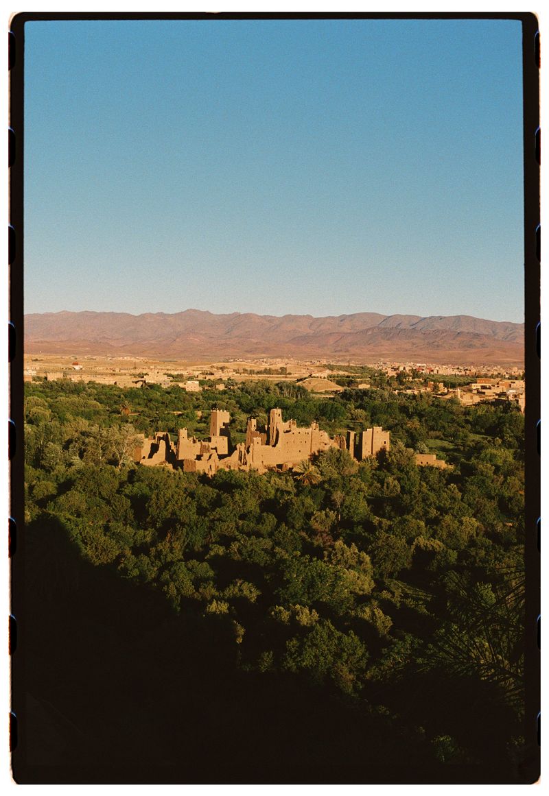 © Annissa Durar - Image from the The Rose Harvest photography project