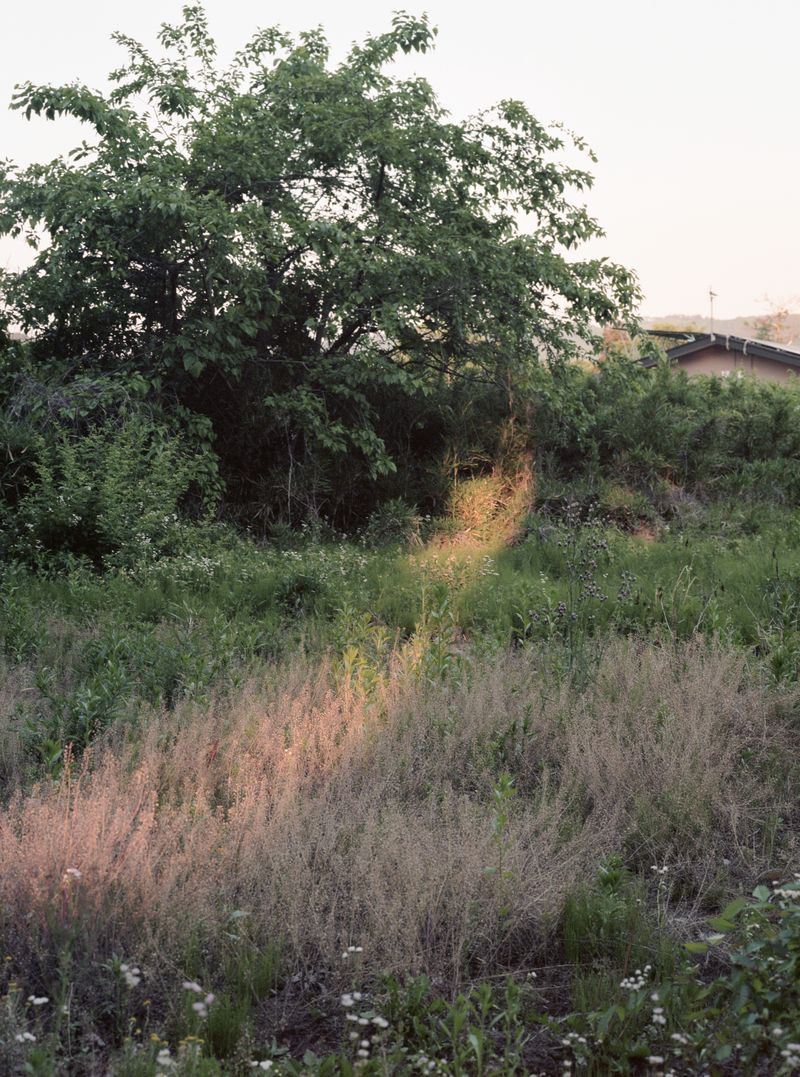 © Dorothee Nowak - Image from the Le temps des cerises photography project