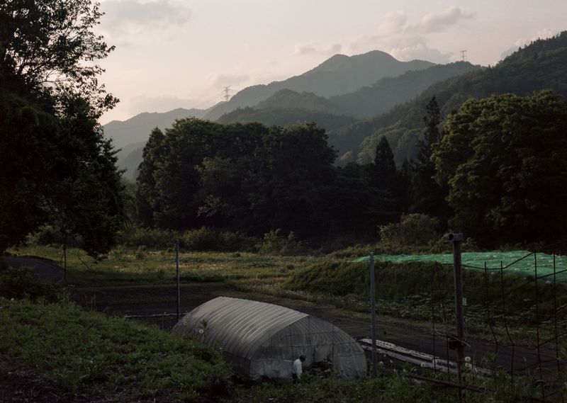 © Dorothee Nowak - Image from the Le temps des cerises photography project