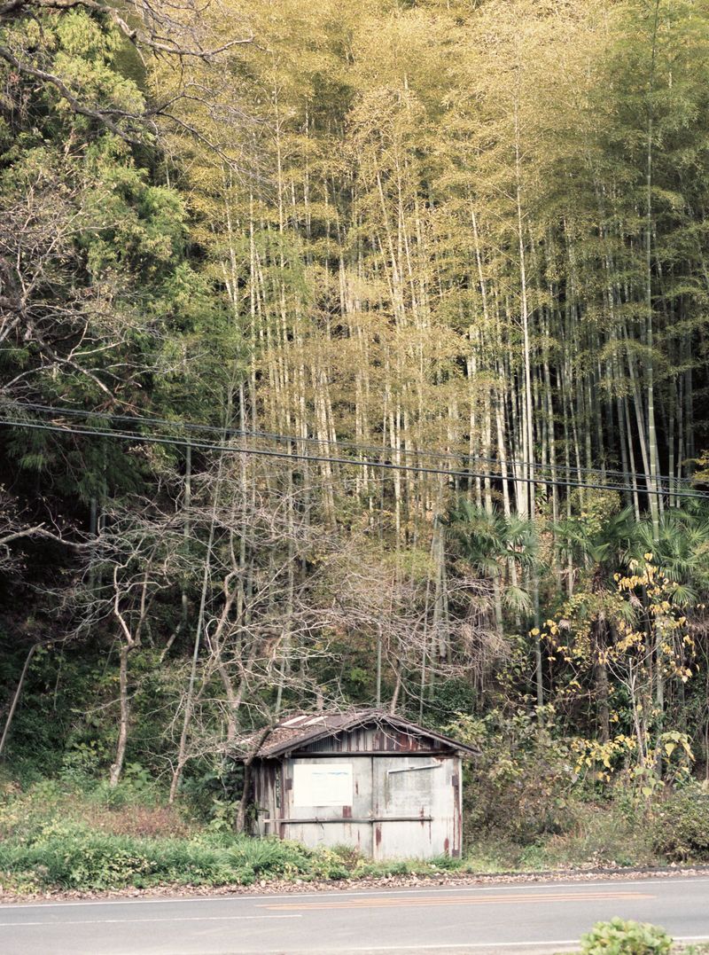 © Dorothee Nowak - Image from the Le temps des cerises photography project