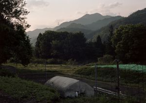 Le temps des cerises