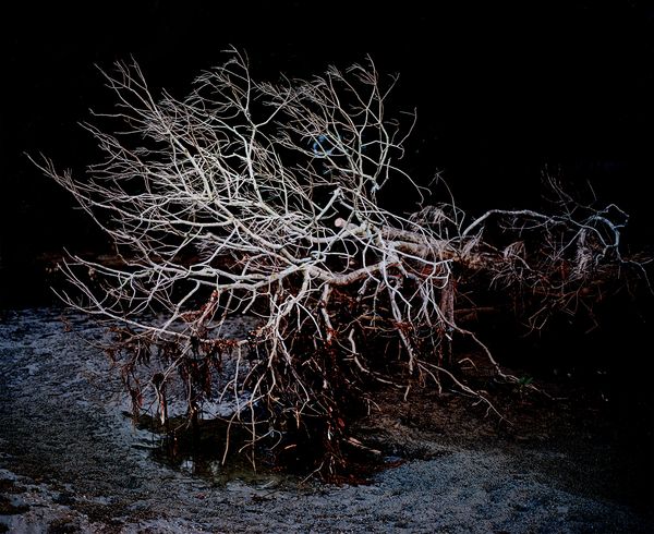 © Aletheia Casey - Image from the Which way is North? photography project