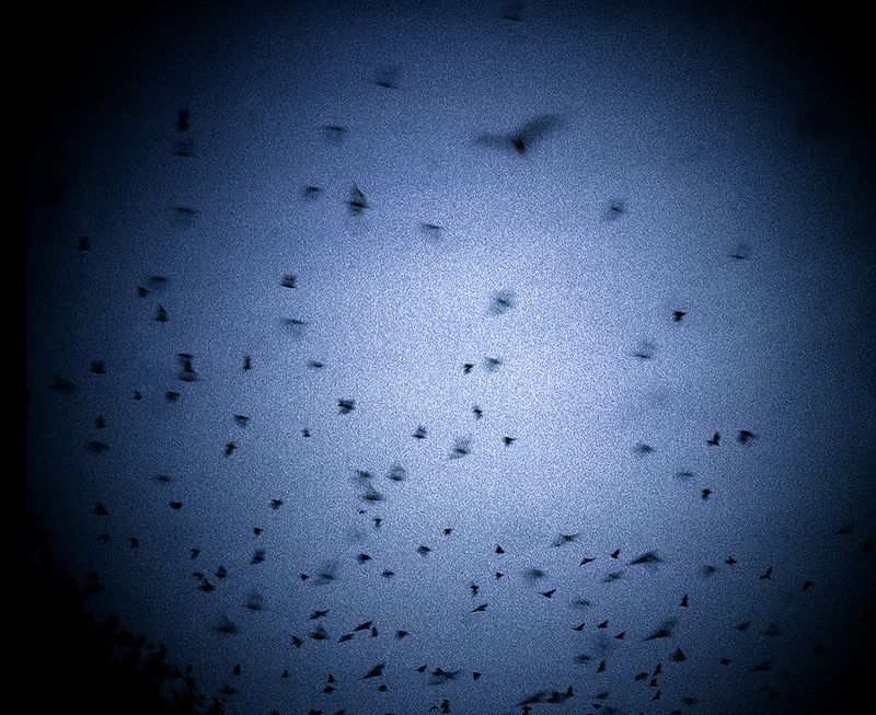 © Aletheia Casey - Image from the Which way is North? photography project