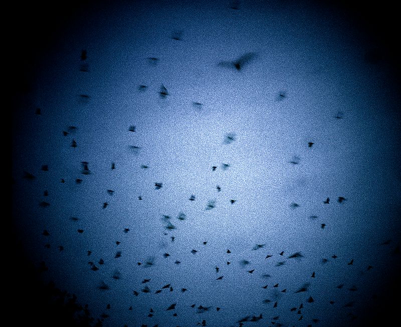 © Aletheia Casey - Image from the Which way is North? photography project