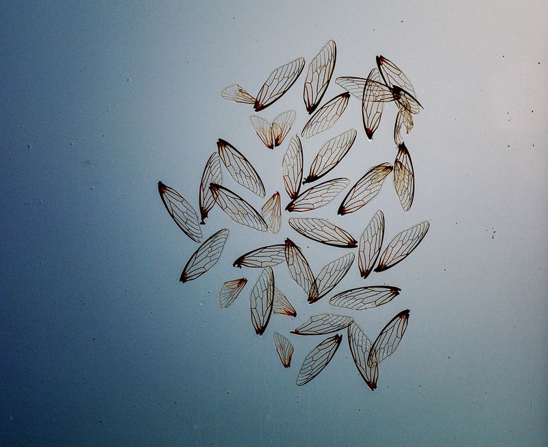 © Aletheia Casey - Image from the Which way is North? photography project