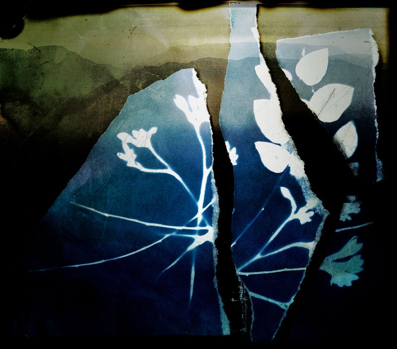 © Aletheia Casey - Image from the The Dark Forgetting photography project