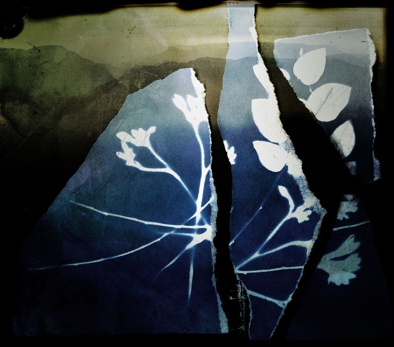 © Aletheia Casey - Image from the The Dark Forgetting photography project