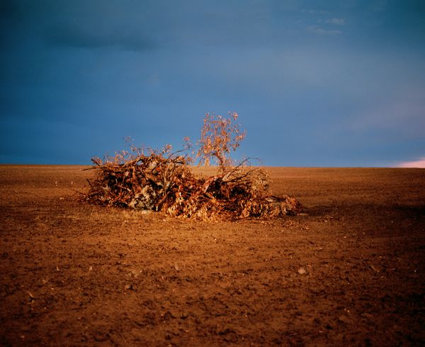 © Aletheia Casey - Image from the The Dark Forgetting photography project